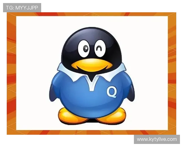 详尽解析开云体育登陆入口的用户体验与服务特色